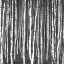 Picture of WHITE BIRCHES