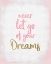 Picture of NEVER LET GO OF YOUR DREAMS