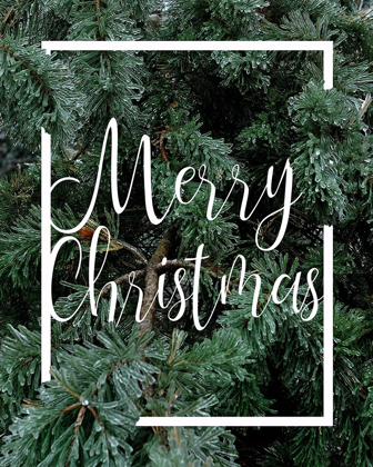 Picture of MERRY CHRISTMAS FOLIAGE