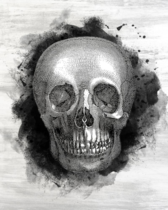 Picture of SKULL