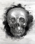 Picture of SKULL