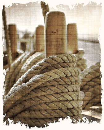Picture of LEARNING THE ROPES 1