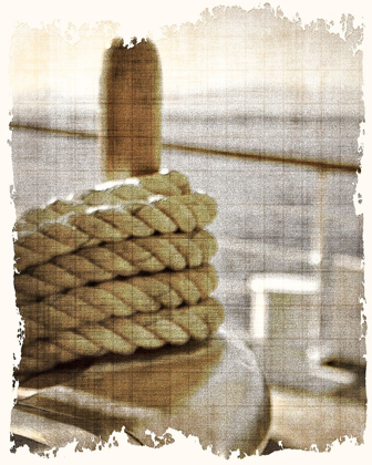 Picture of LEARNING THE ROPES 2