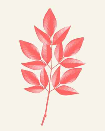 Picture of CORAL LEAVES 1
