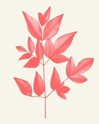 Picture of CORAL LEAVES 2