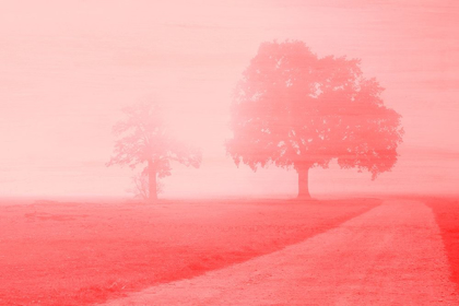 Picture of DAWN