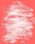 Picture of CORAL WHITES 1
