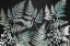 Picture of SPARKLE FERNS