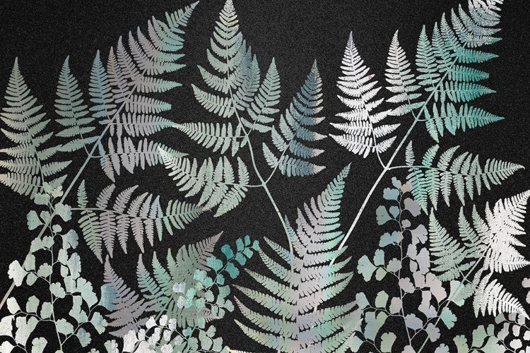Picture of SPARKLE FERNS