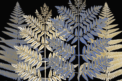 Picture of GILDED FERNS