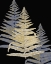 Picture of GILDED FERN 2