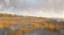 Picture of ACROSS THE MARSH
