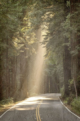 Picture of LETS GET LOST ROAD