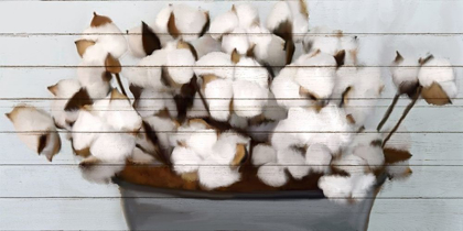 Picture of COTTON GATHER 1