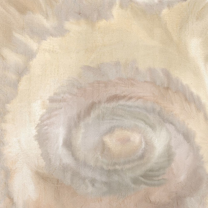 Picture of NEUTRAL SWIRL
