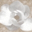Picture of MAGNOLIA CENTER 1