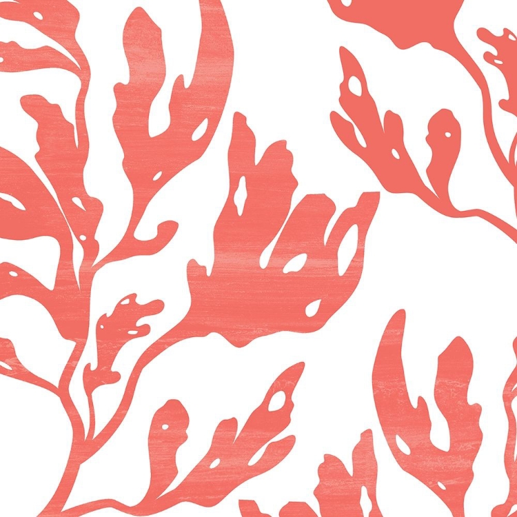 Picture of SEAWEED 1