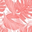Picture of TROPIC CORAL 1