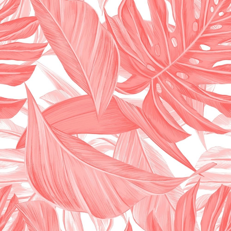 Picture of TROPIC CORAL 1