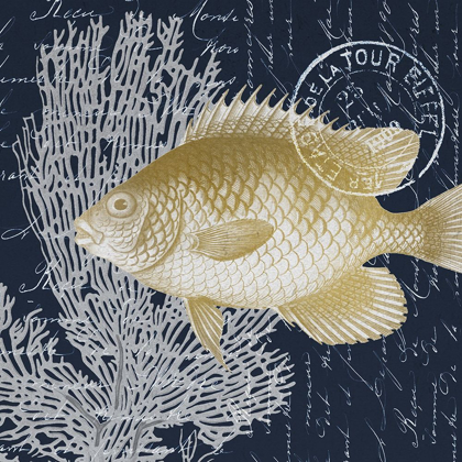 Picture of FISH BLUES 2