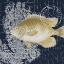 Picture of FISH BLUES 2