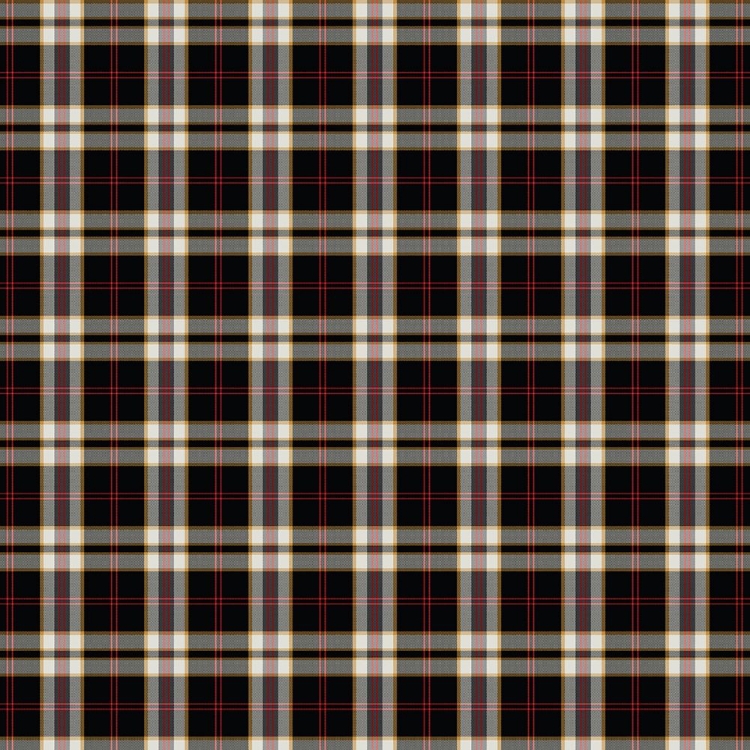 Picture of COLORS OF FALL PATTERN