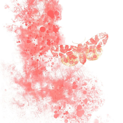 Picture of HIDDEN SECRETS 1