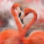 Picture of FOREVER LOVE