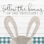 Picture of FOLLOW THE BUNNY