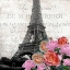 Picture of PARIS BLOOMS 1