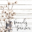 Picture of COTTON GATHER 2