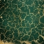 Picture of PEACOCK HUES 1