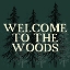 Picture of WELCOME TO THE WOODS 1