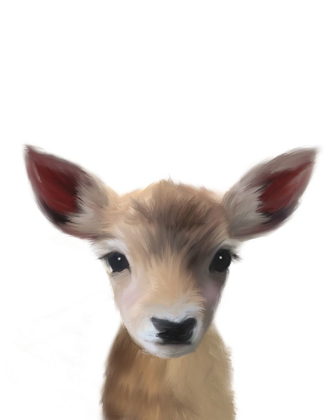 Picture of BABY DEER