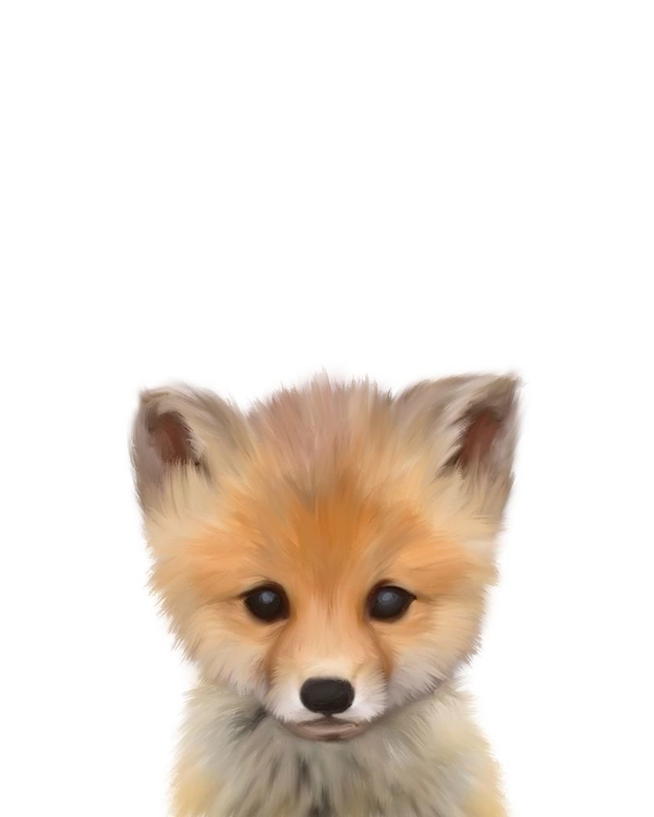 Picture of BABY FOX