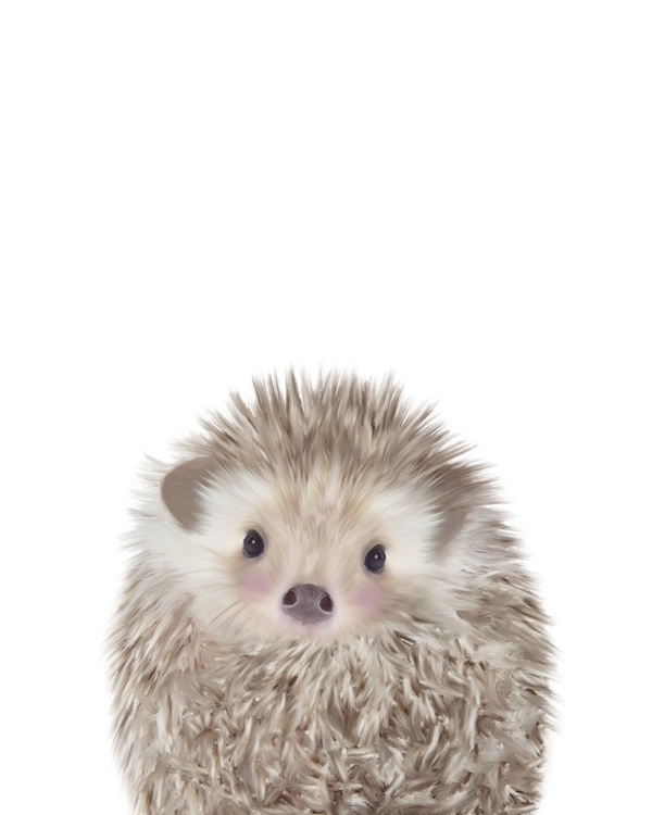 Picture of HEDGEHOG