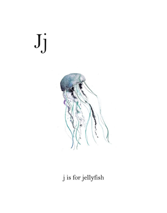 Picture of J IS FOR JELLYFISH