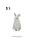 Picture of K IS FOR KANGAROO