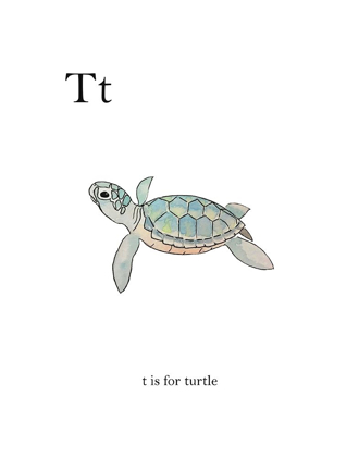 Picture of T IS FOR TURTLE