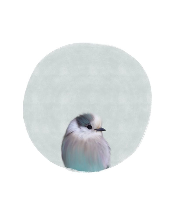 Picture of BABY CIRCLE BIRD
