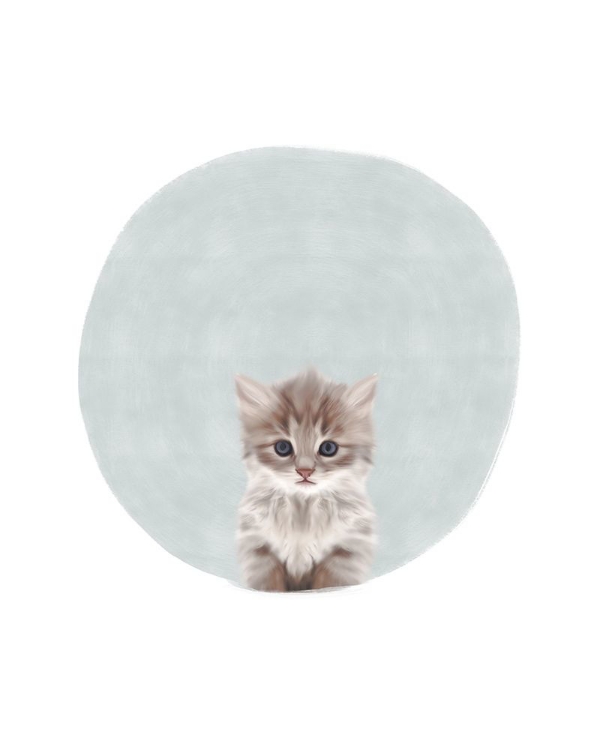 Picture of BABY CIRCLE KITTEN