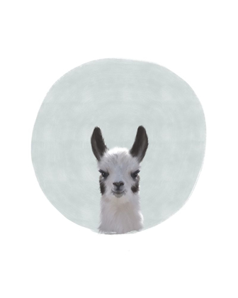 Picture of BABY CIRCLE LLAMA