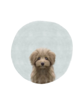 Picture of BABY CIRCLE PUPPY