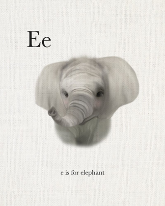 Picture of E IS FOR ELEPHANT