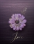 Picture of GILDED DAISY