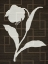 Picture of TEXTILE BOTANICALS 1