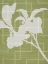 Picture of TEXTILE BOTANICALS 2