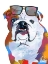 Picture of FLASHY BULLDOG 1