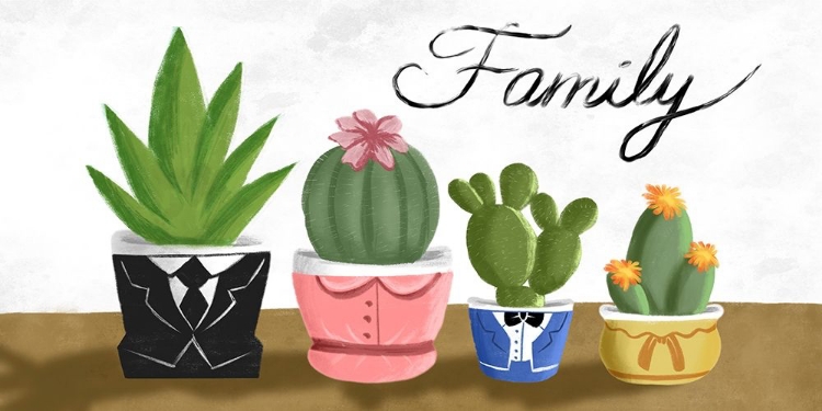 Picture of SUCCULENT FAMILY 1