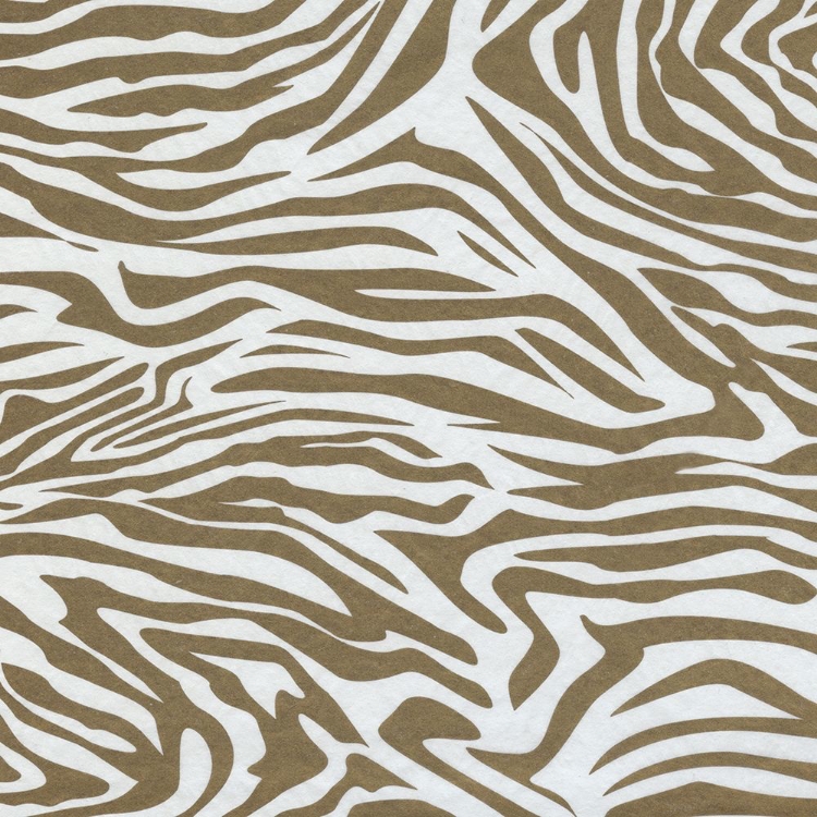 Picture of GOLDEN ZEBRA 1